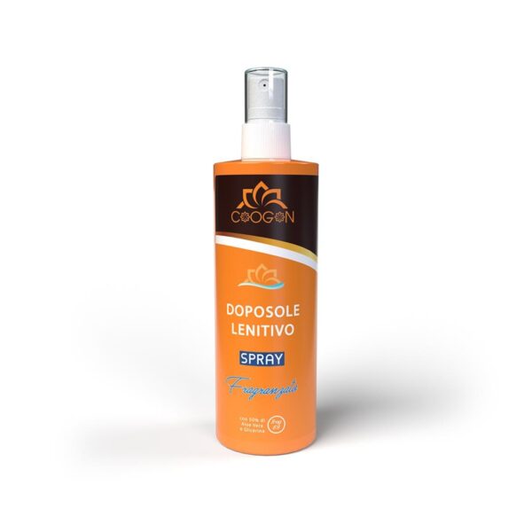 https___chogangroup.com_images_prodotti_big_16868334430 (1)